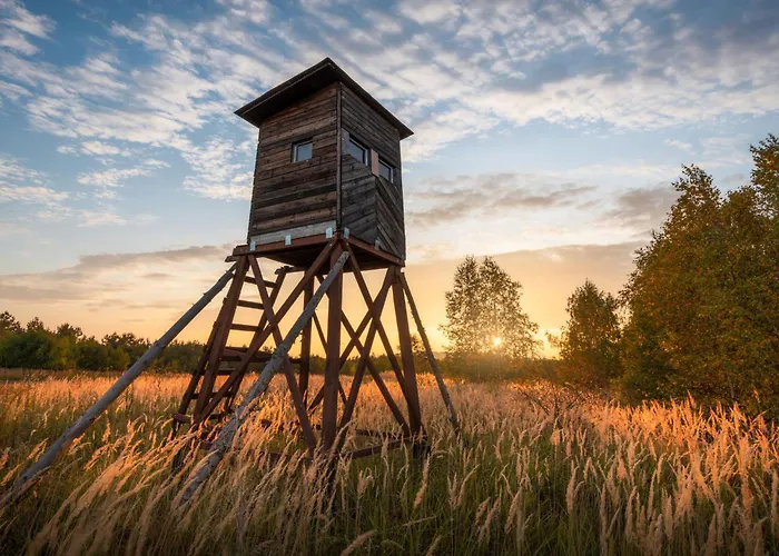 Istrien Traditionelles Steinhaus 7 By Interhome 펜션 Kotli