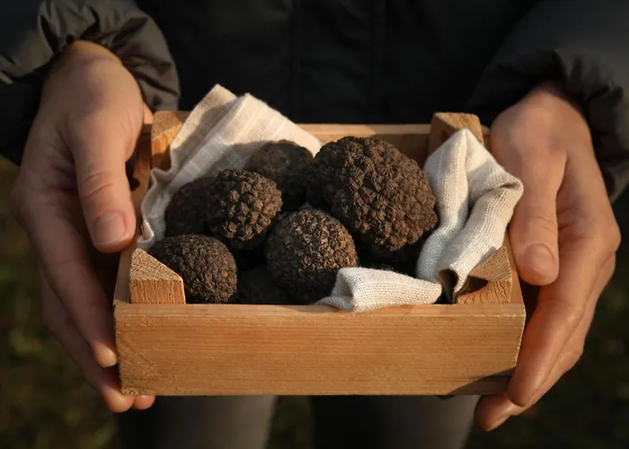 Istrien Traditionelles Steinhaus 7 By Interhome Kotli